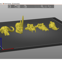 Animal Skull Collectables 6613625