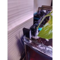 Akvaryum için Bitki Tutucu