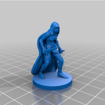 Assassin Female 6487278