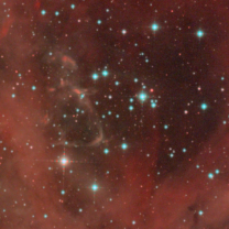 Celestron Rasa 8 Kapak