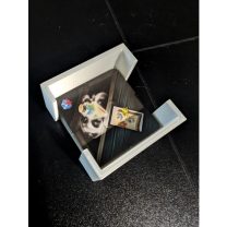 Ejderha Bekçileri ile Kehanet Mini Genişletme Eklemesi