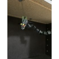 Flexi Korkunçboros Splatoon 3