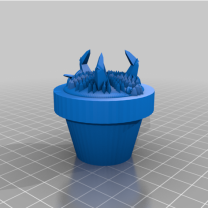 Diken Kayası Saksıda