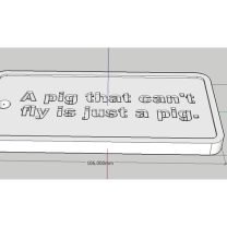 A Pig That Can T Fly Is Just A Pig 6501995