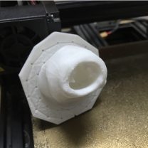 Ancylostoma Doudonale Hook Worm 6555017