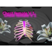 Android Gynoid Chest V1 0 By Strohmain S 6418363