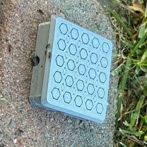 Ateş Karıncası Tuzağı