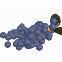 Gerçekçi Üzüm Modeli 3D Baskı