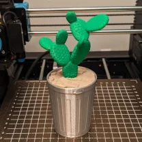 Çöp Kutusundaki Kaktüs