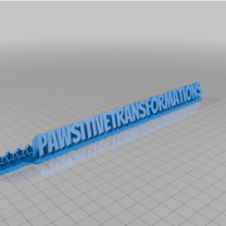 Pawsativetransformation