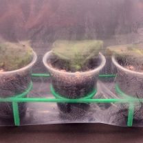 3D Baskı Yayılma Kupa Tutucu