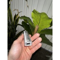 Caliburn Tenant Kılıf