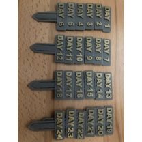 Noel Advent Paketi Pinleri 3D Baskı